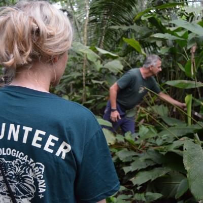 Teenagers learning about the important species in the Amazon during the Projects Abroad volunteer Conservation Project A staff member shows teenagers different species during rainforest conservation volunteering in Peru